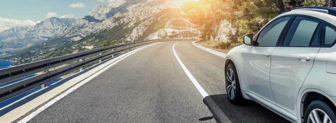 Avis Bottom Strip Avis Bottom Strp